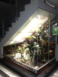 Auch ein freistehender Treppenaufgang ist für den Einabu eines Terrariums geeignet